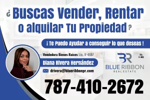 Imprenta Online - Blue-Ribbon-Real-Estate-F01-300x200