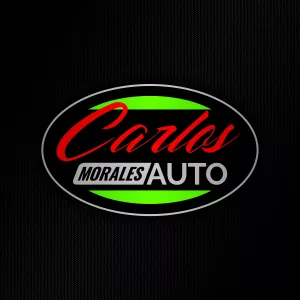Imprenta Online - Nissan-Logo-Carlos-Morales-300x300