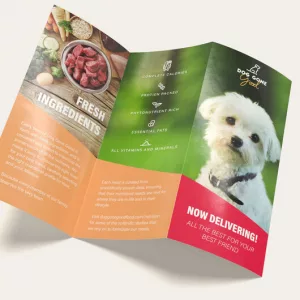 Imprenta Online - Brochure-4-300x300
